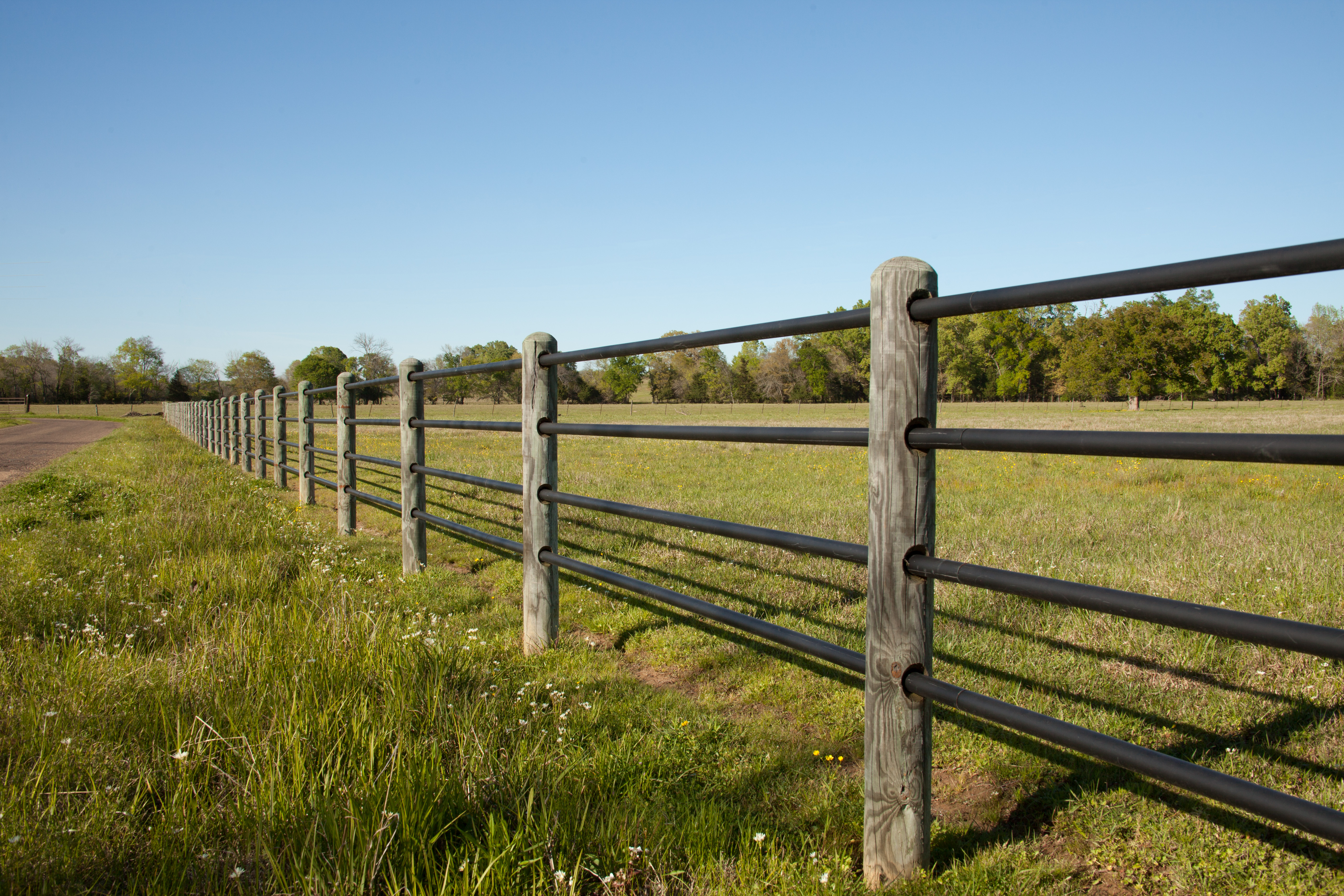 Ponderosa 0316 01.jpg